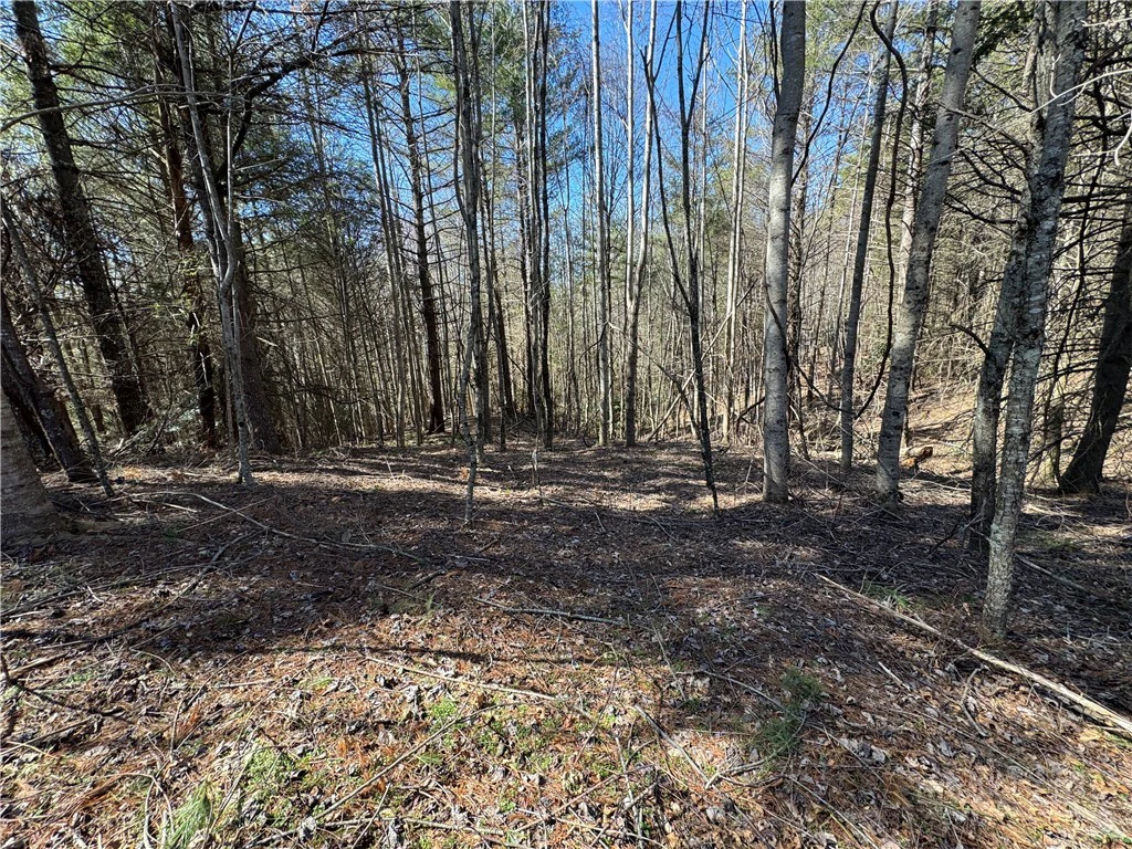 Image number 4 for the current listing