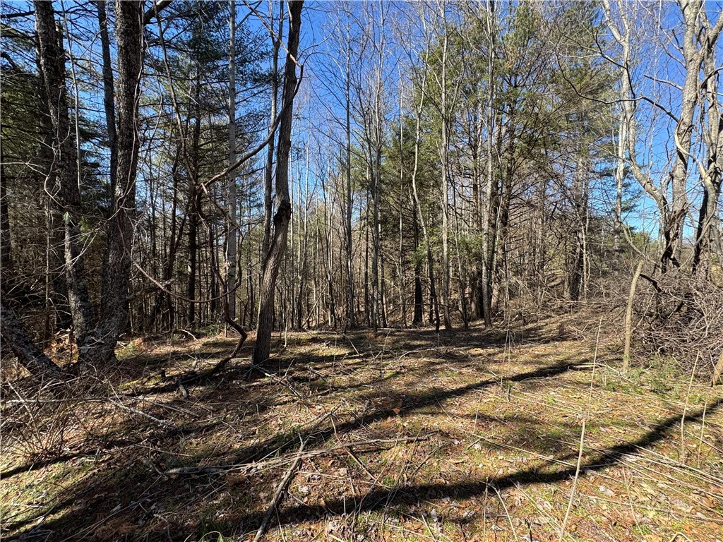 Image number 3 for the current listing