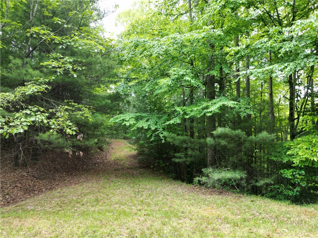 Image number 1 for the current listing