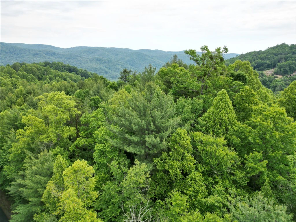 Image number 2 for the current listing
