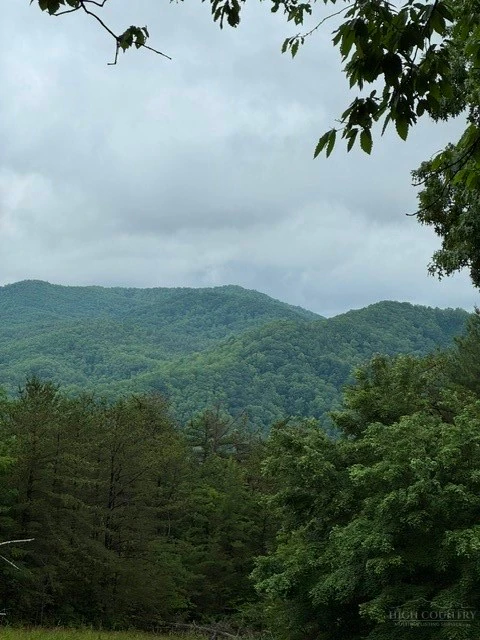 Image number 3 for the current listing