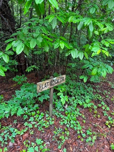 Image number 5 for the current listing