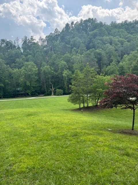 Image number 9 for the current listing
