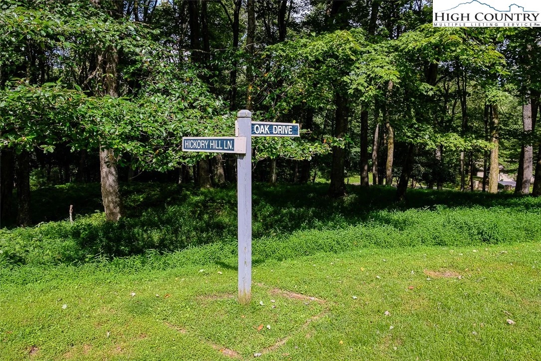 Image number 1 for the current listing