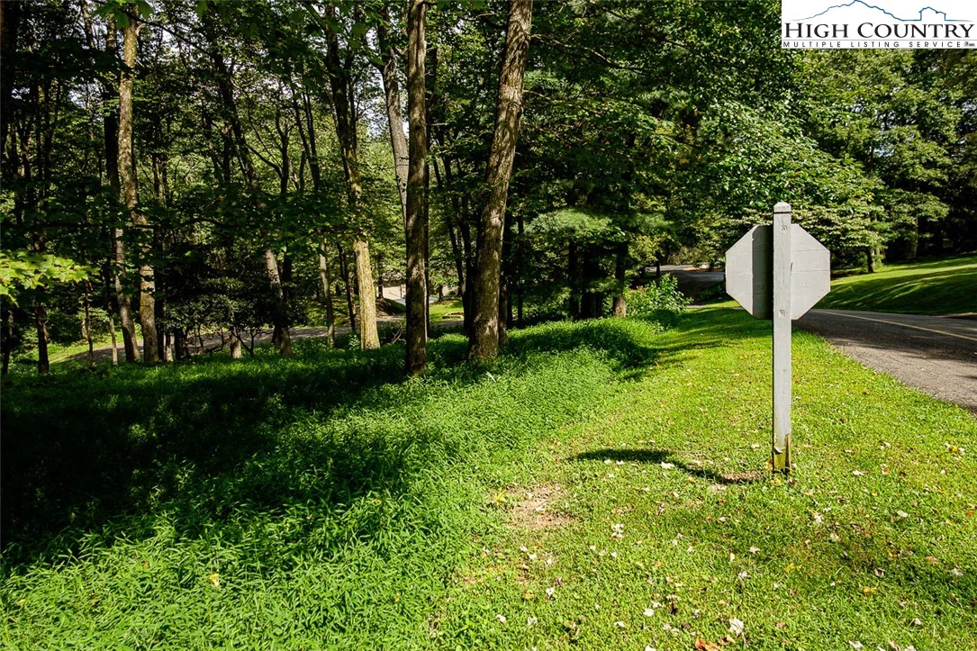 Image number 4 for the current listing
