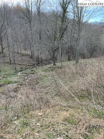 Image number 4 for the current listing