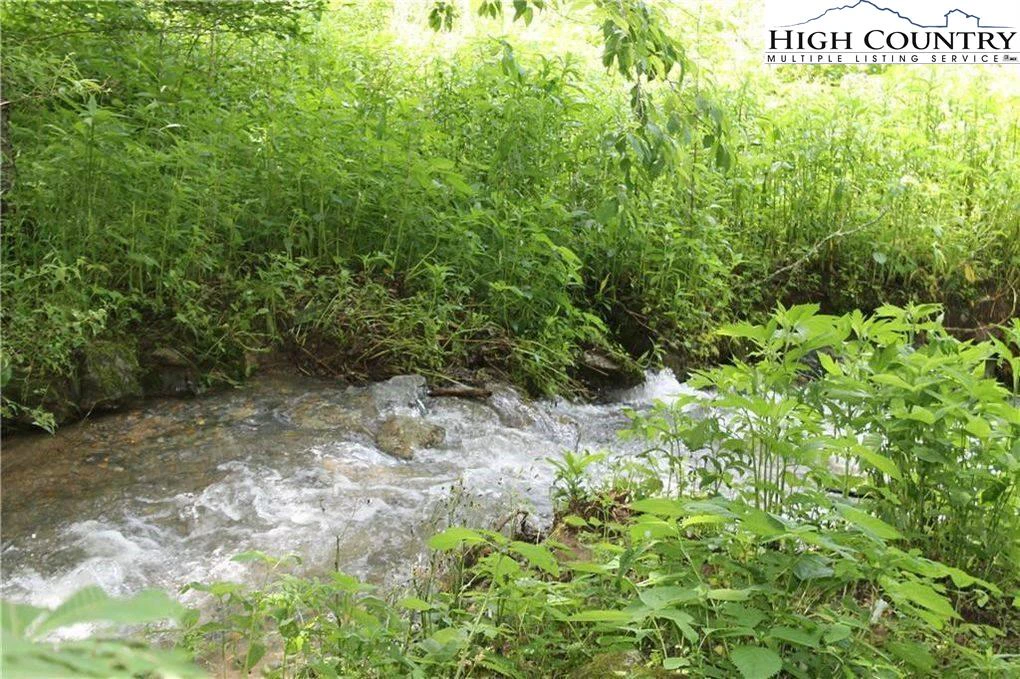 Image number 5 for the current listing