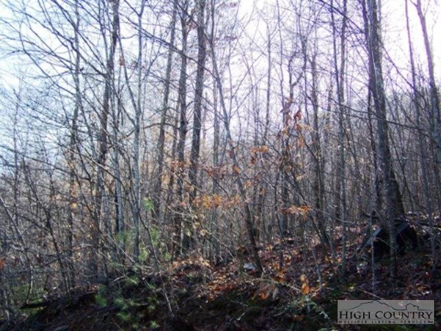 Image number 3 for the current listing