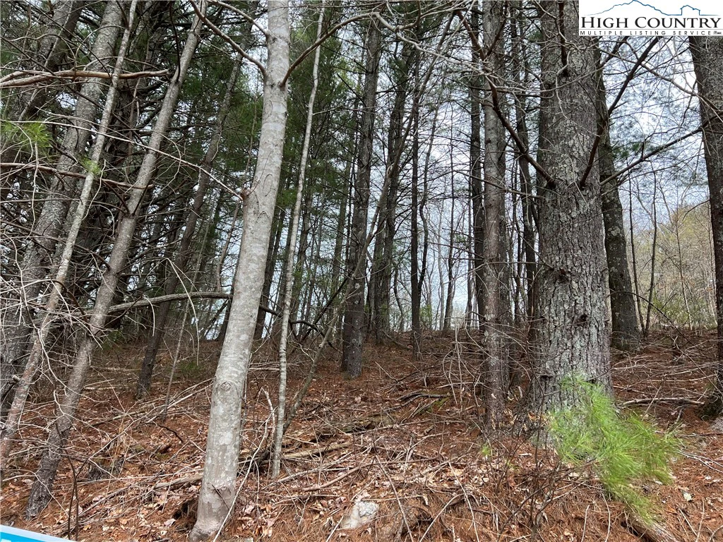 Image number 1 for the current listing