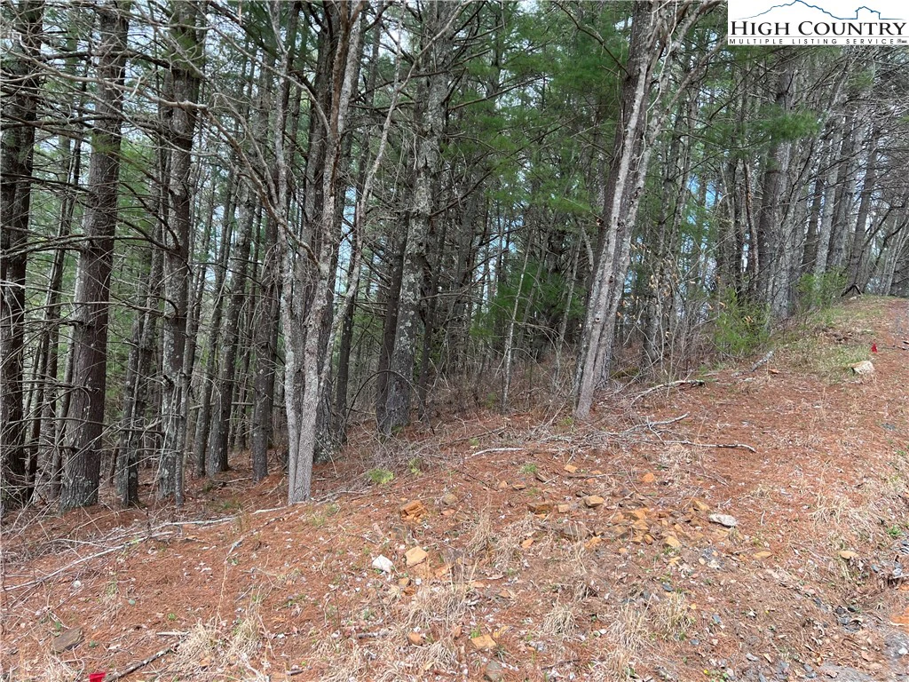 Image number 2 for the current listing