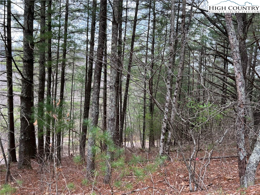 Image number 3 for the current listing