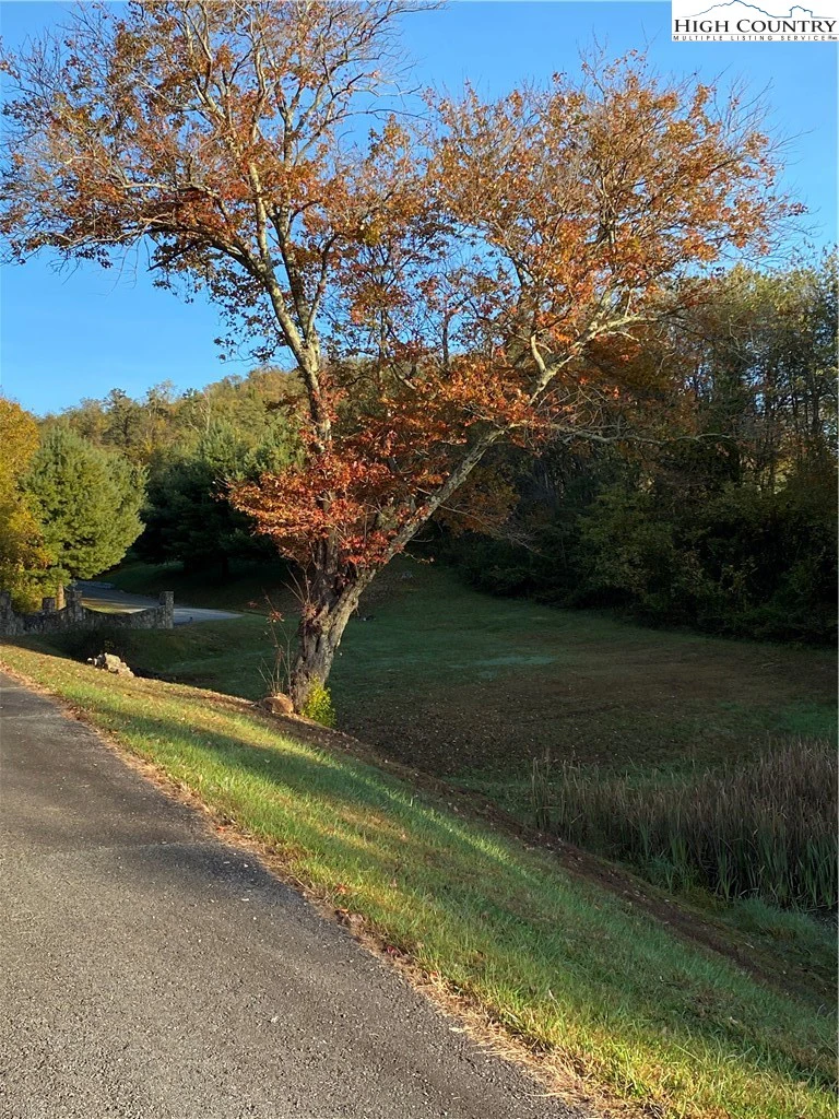 Image number 5 for the current listing