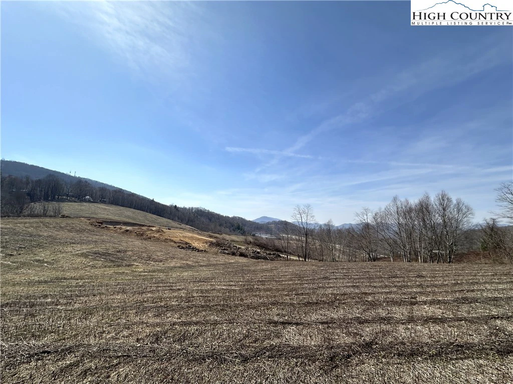 Image number 1 for the current listing