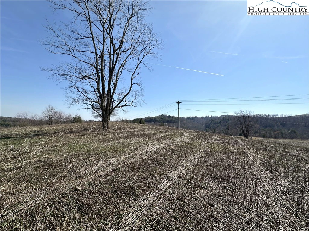Image number 18 for the current listing