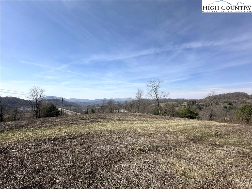 Image number 12 for the current listing