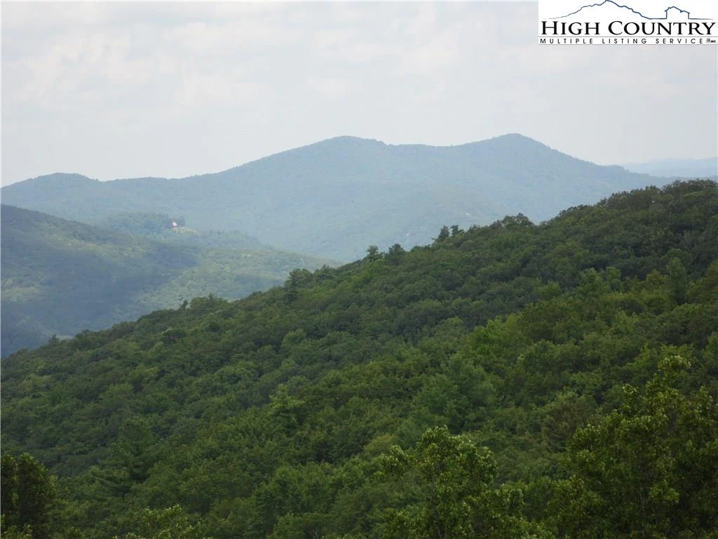 Image number 3 for the current listing