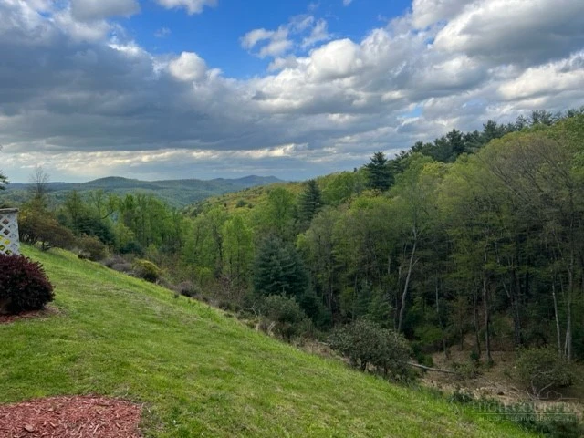 Image number 8 for the current listing
