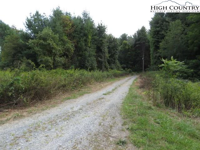 Image number 20 for the current listing