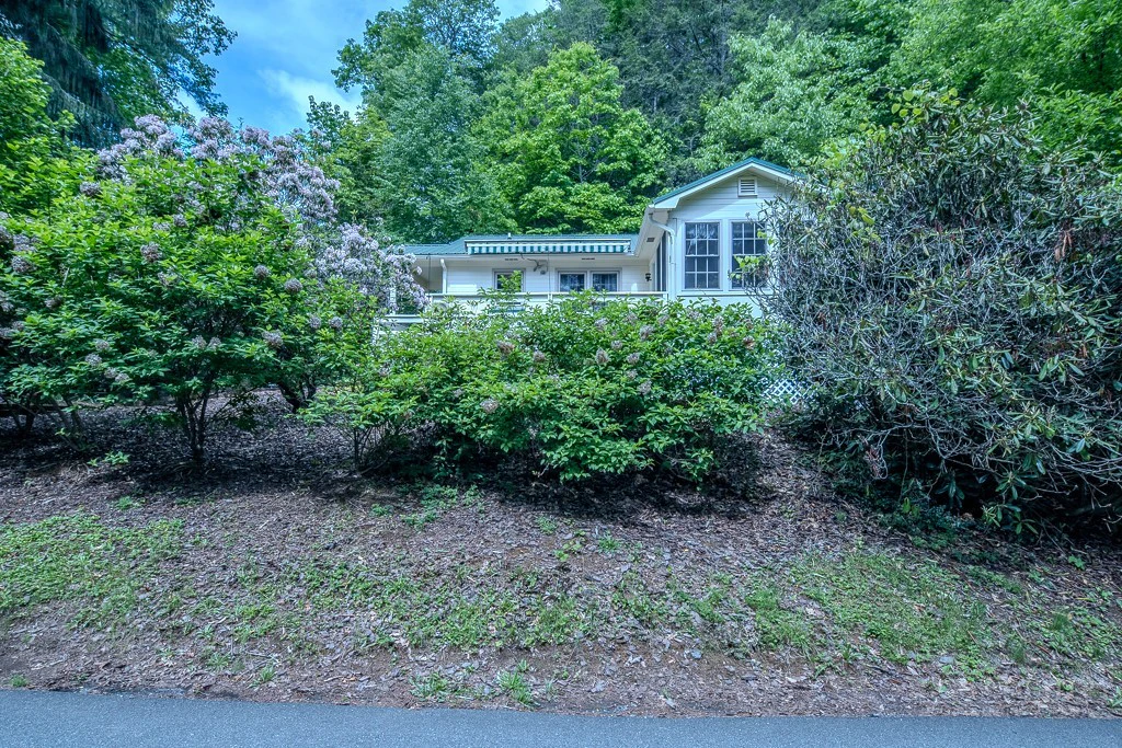 Image number 8 for the current listing