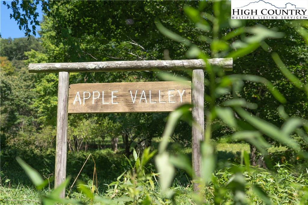Image number 1 for the current listing