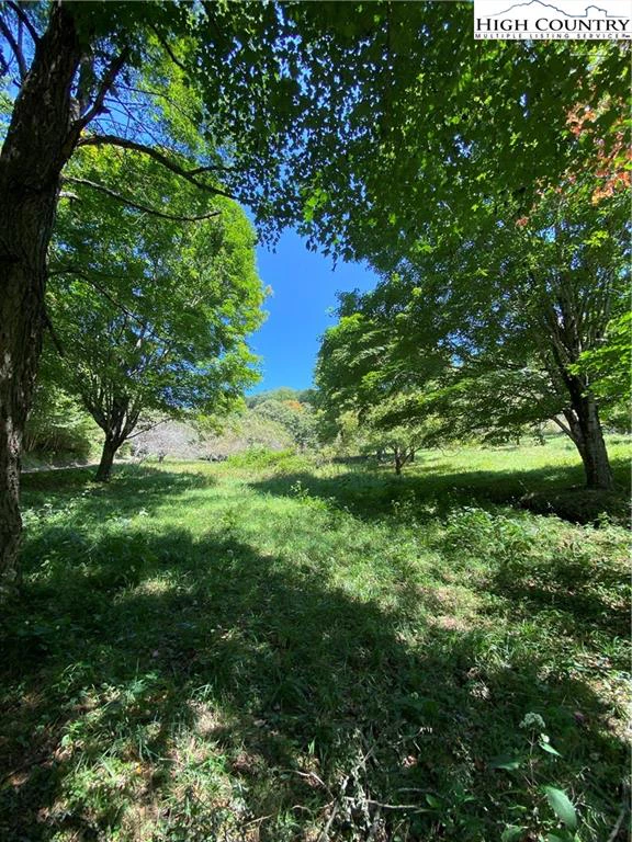 Image number 18 for the current listing