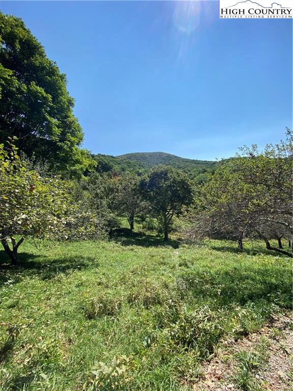 Image number 2 for the current listing
