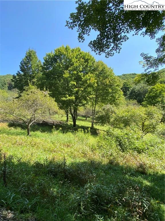 Image number 14 for the current listing