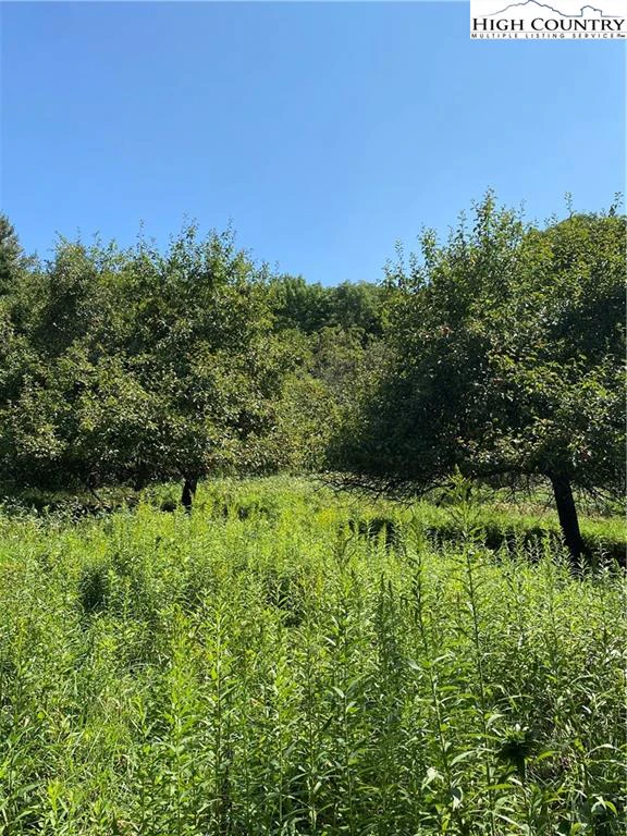 Image number 13 for the current listing