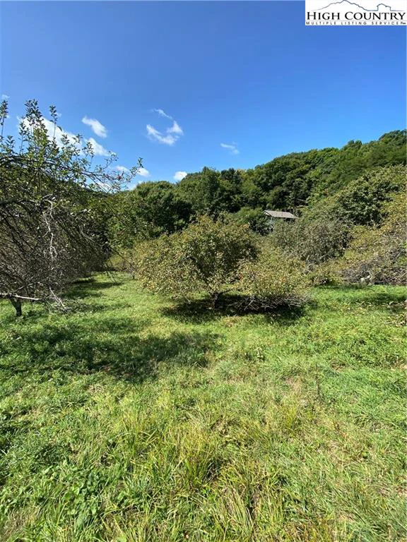 Image number 9 for the current listing