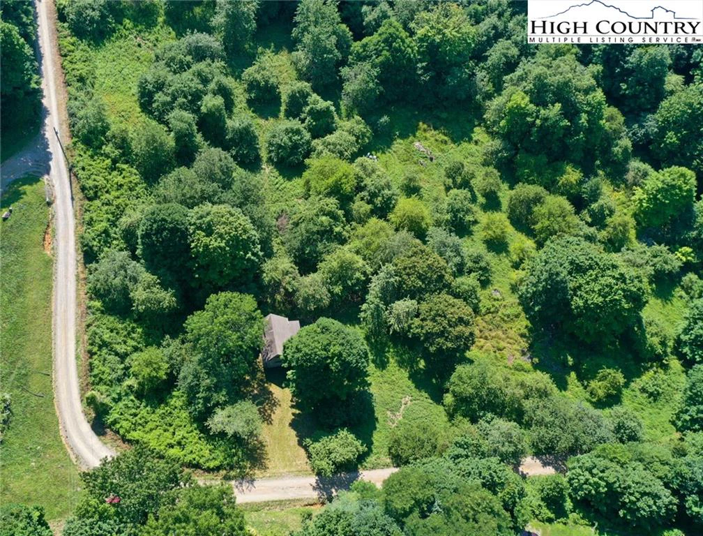 Image number 8 for the current listing