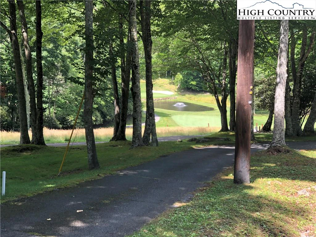 Image number 1 for the current listing