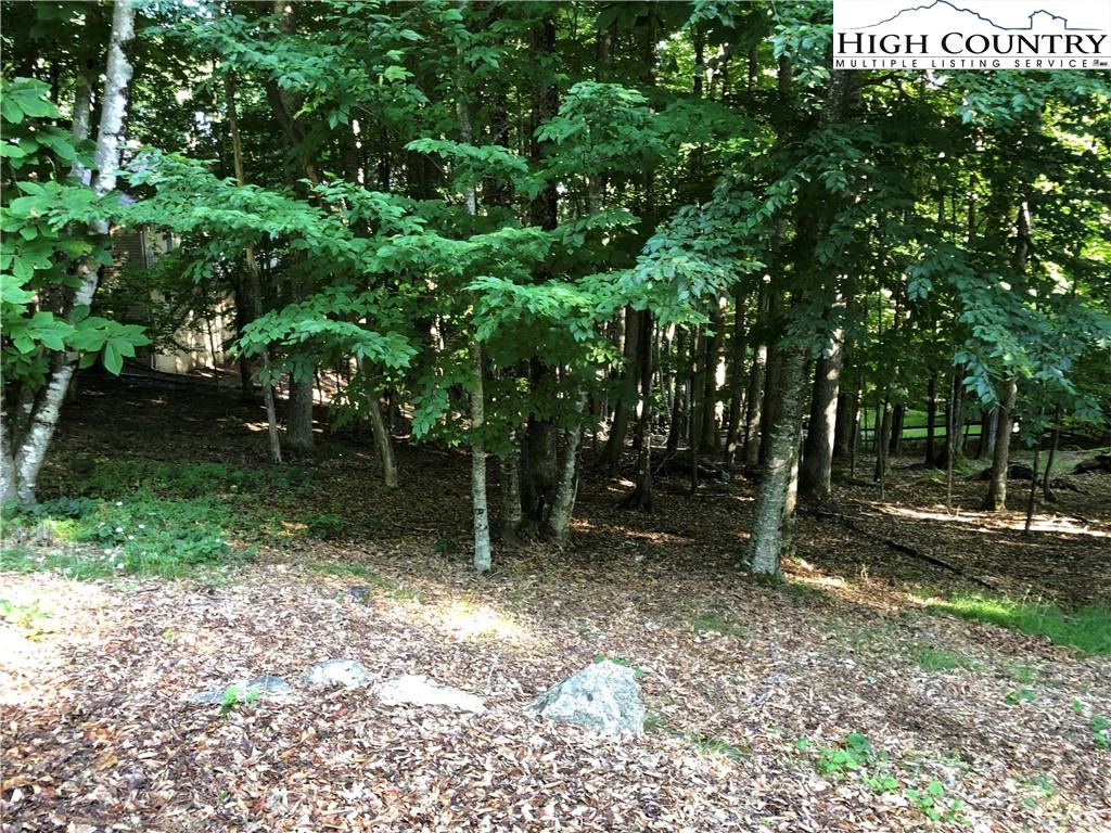 Image number 6 for the current listing