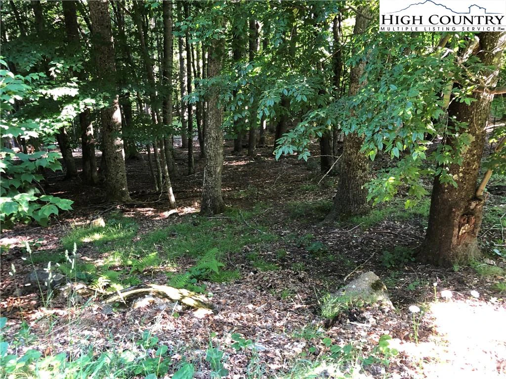 Image number 7 for the current listing