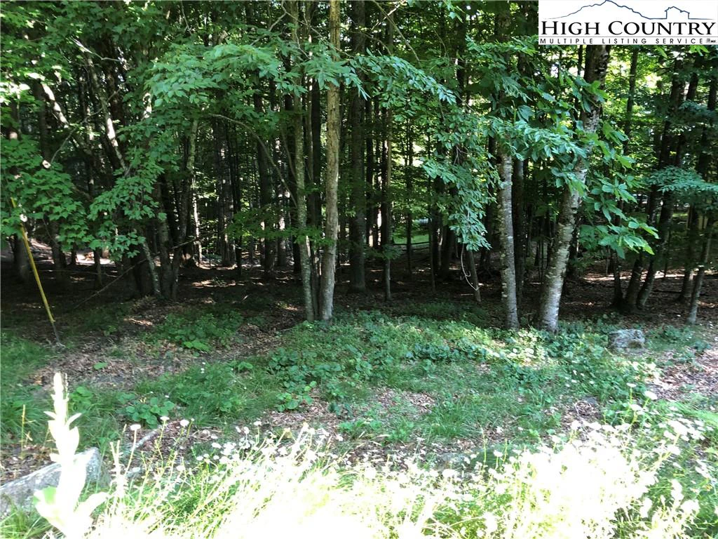 Image number 8 for the current listing
