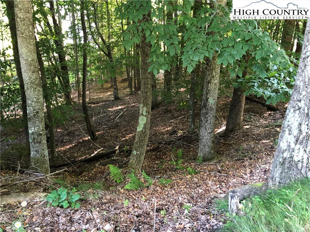 Image number 9 for the current listing