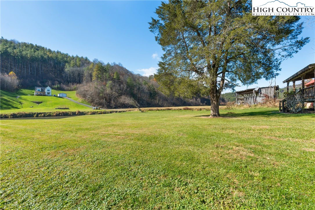 Image number 17 for the current listing