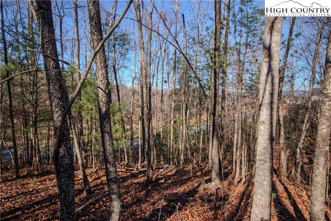 Image number 3 for the current listing