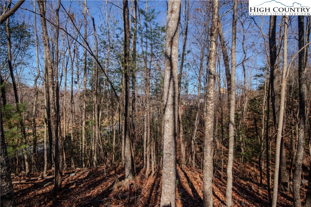 Image number 4 for the current listing