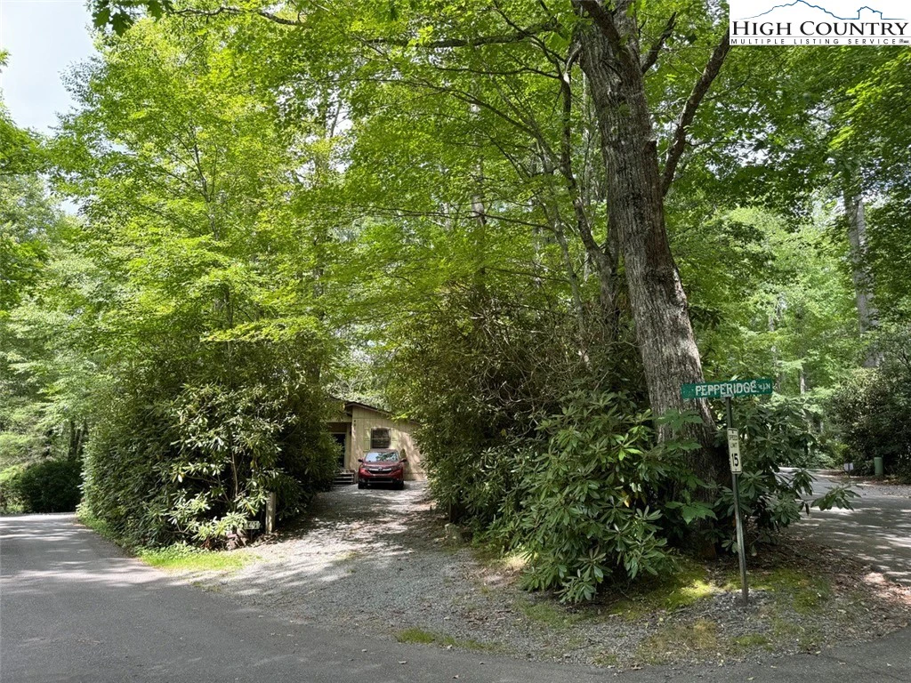 Image number 4 for the current listing