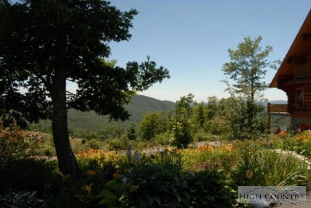 Image number 9 for the current listing