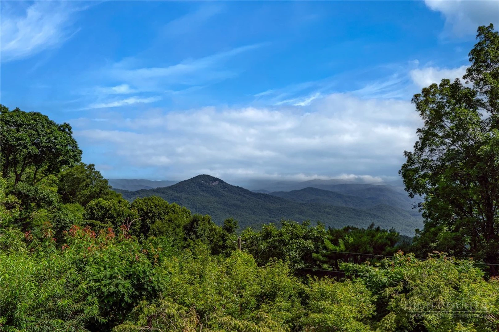Image number 3 for the current listing