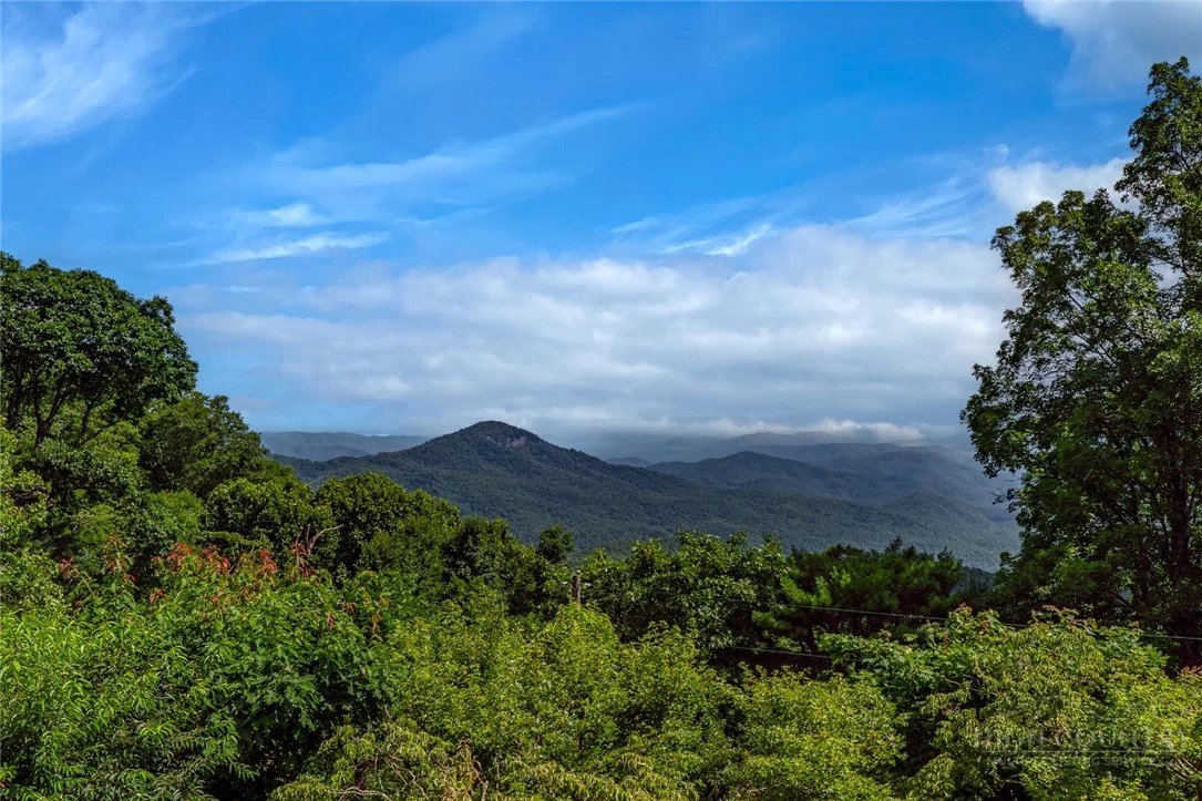 Image number 3 for the current listing