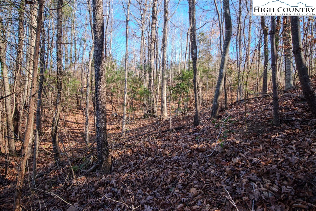 Image number 3 for the current listing