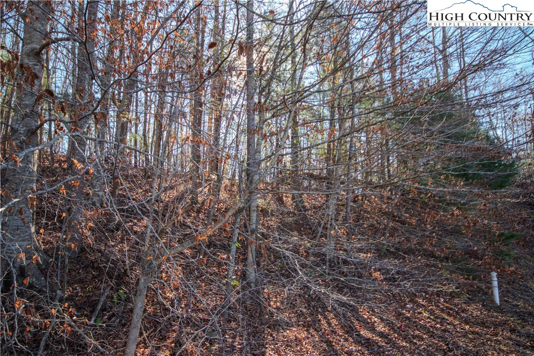 Image number 4 for the current listing