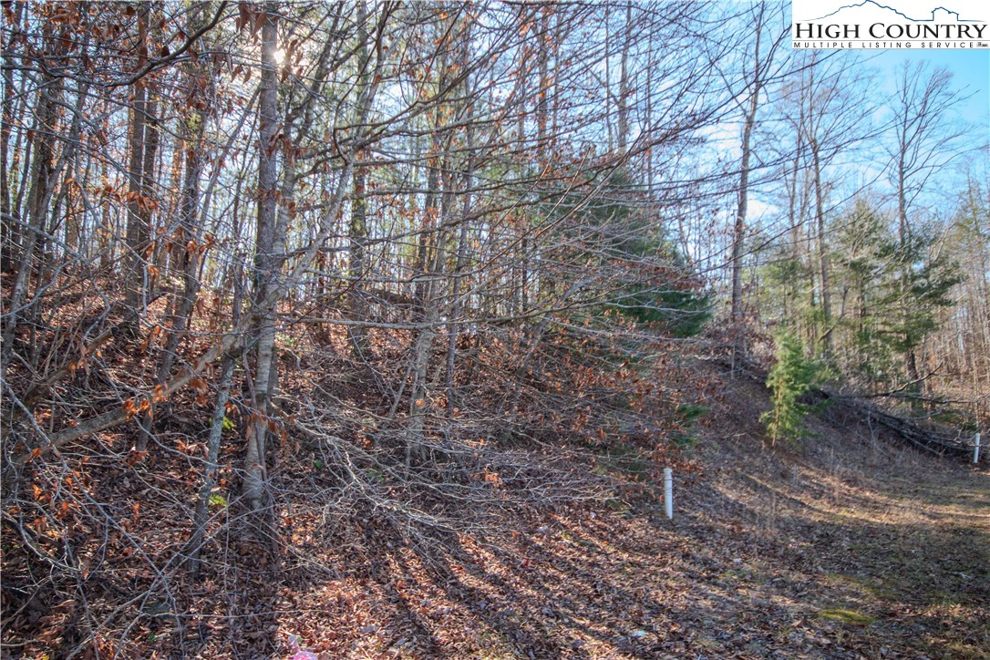 Image number 5 for the current listing