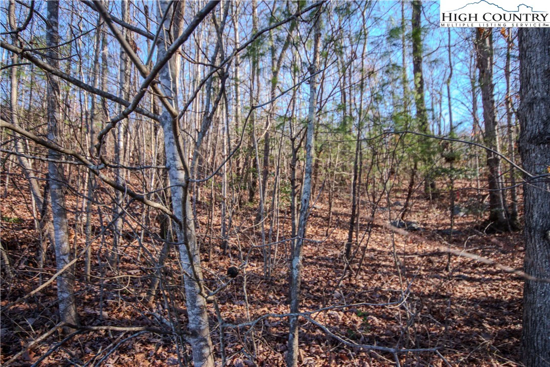 Image number 6 for the current listing