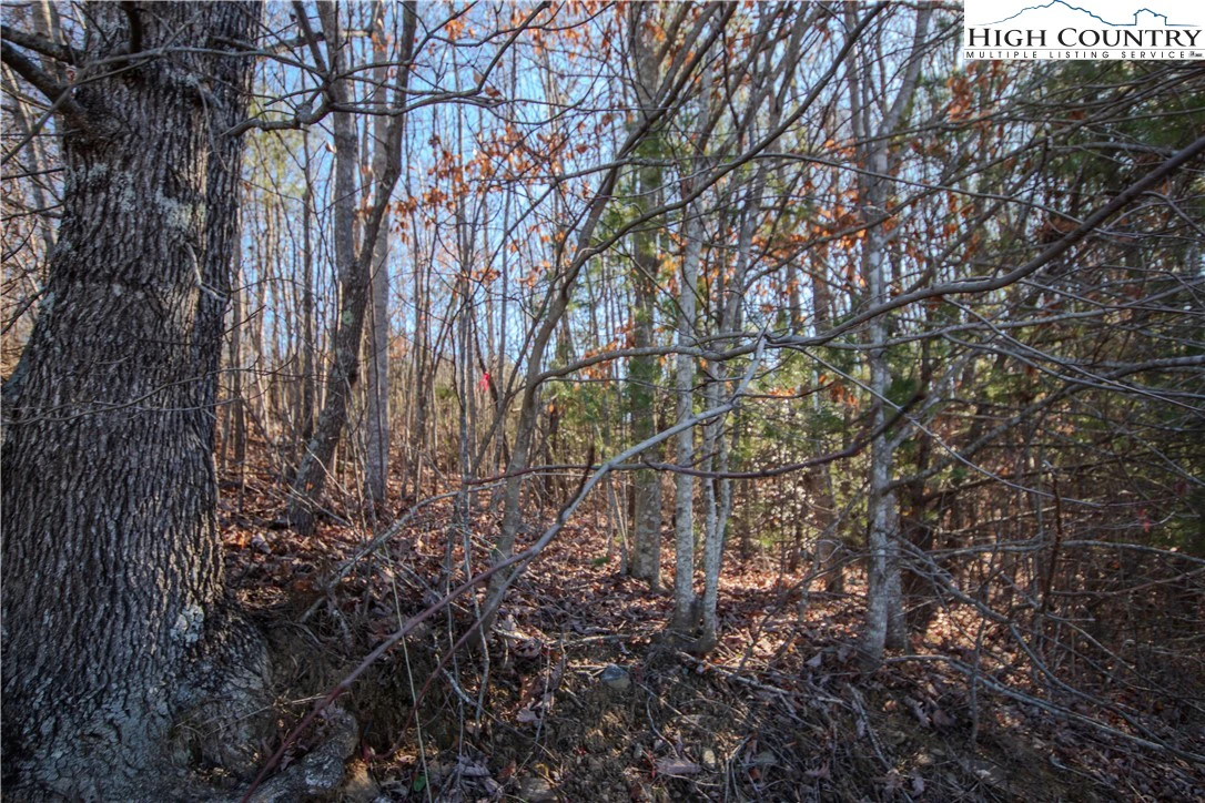 Image number 7 for the current listing