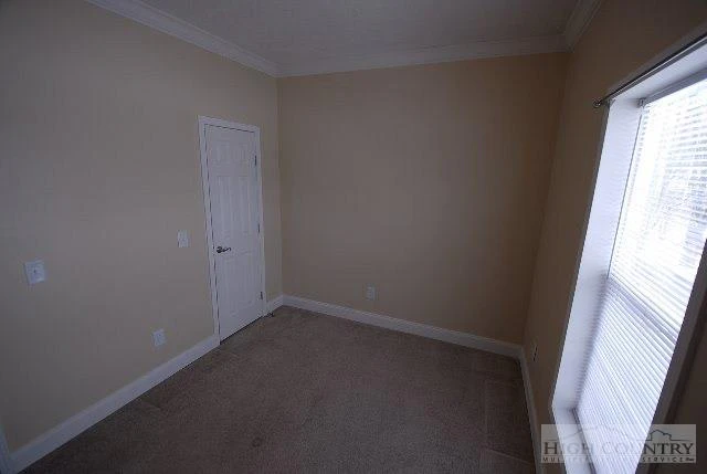 Image number 3 for the current listing