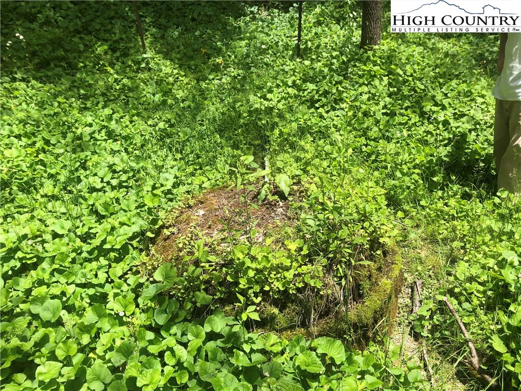 Image number 13 for the current listing