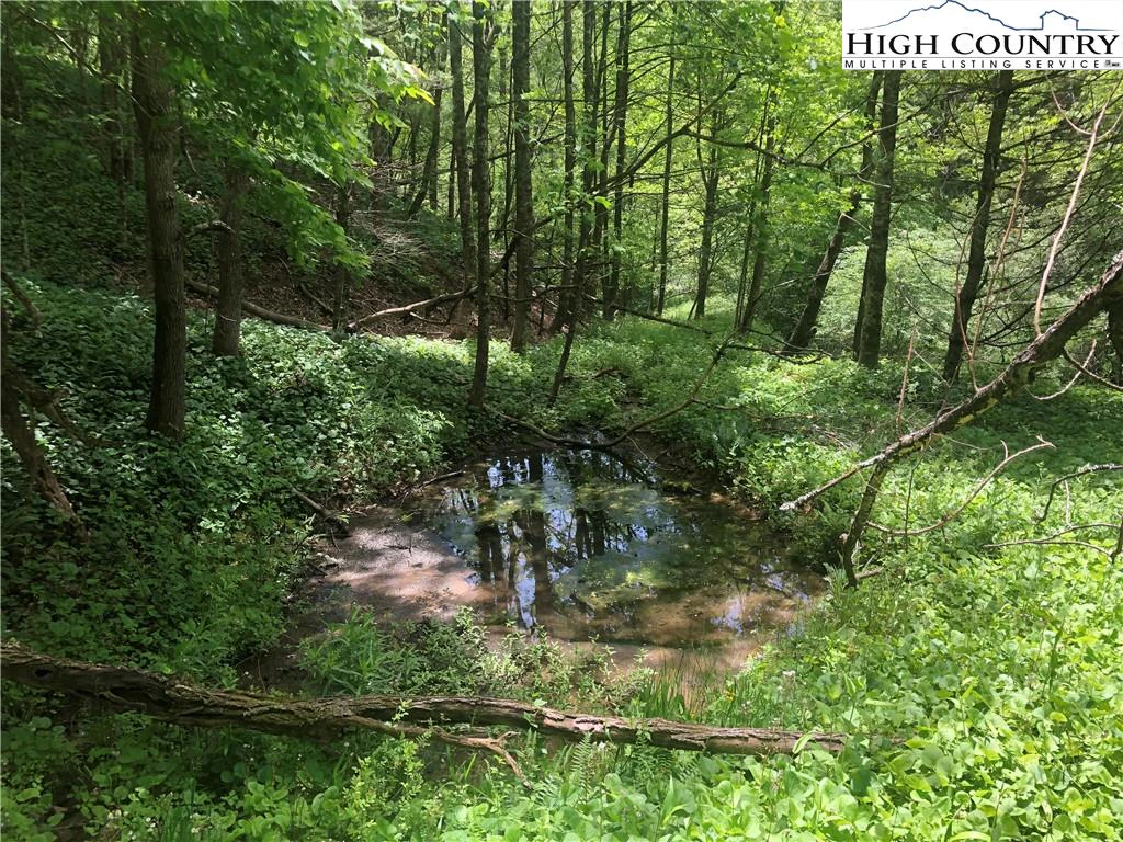 Image number 15 for the current listing